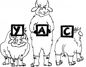 YAC logo 11.7.06